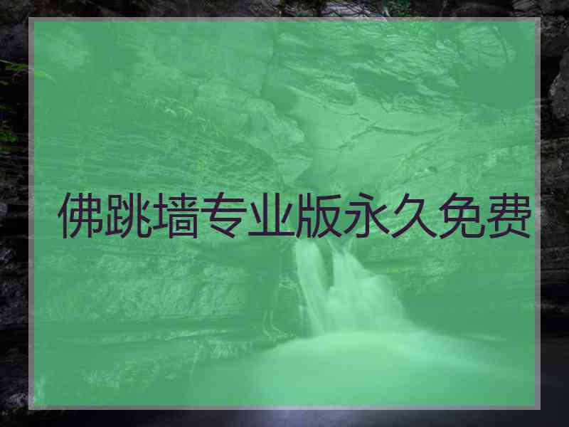佛跳墙专业版永久免费