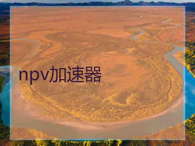 npv加速器