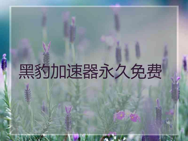 黑豹加速器永久免费