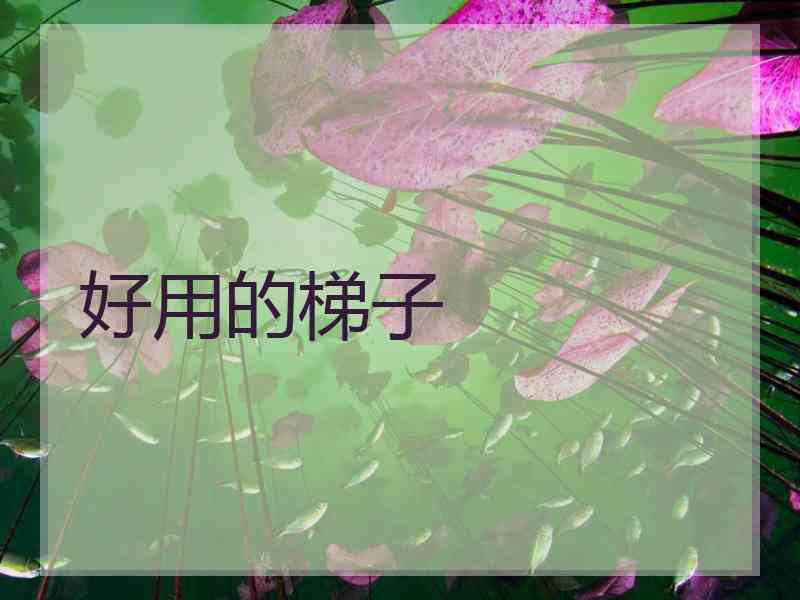 好用的梯子