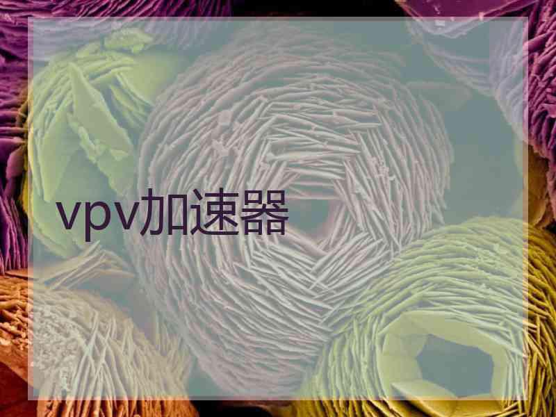 vpv加速器