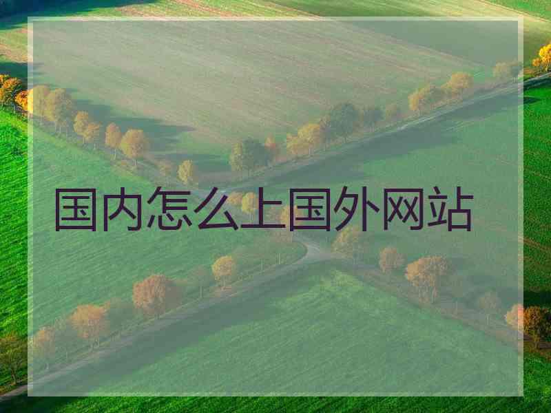 国内怎么上国外网站