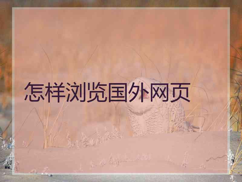 怎样浏览国外网页