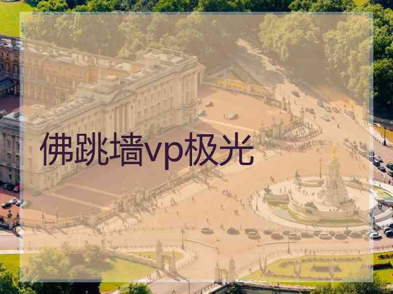 佛跳墙vp极光