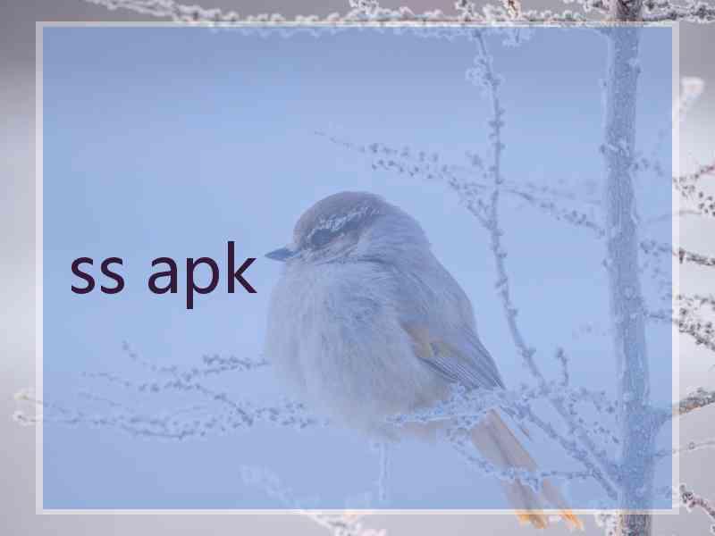 ss apk