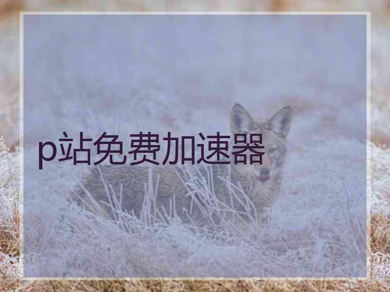 p站免费加速器