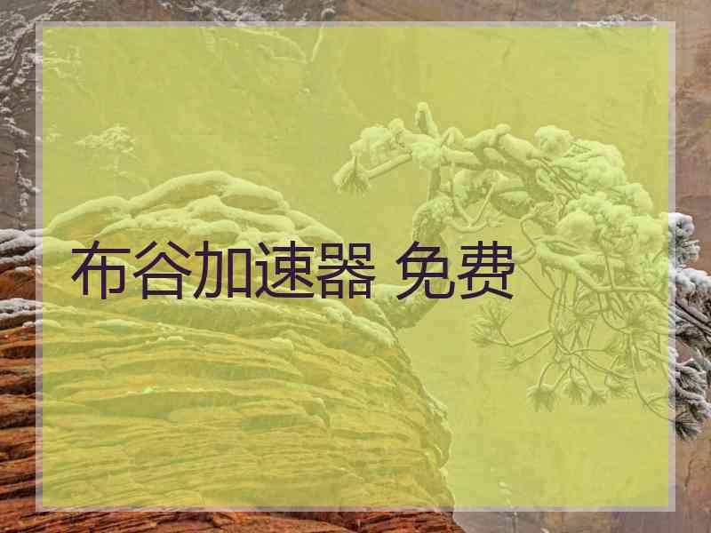 布谷加速器 免费