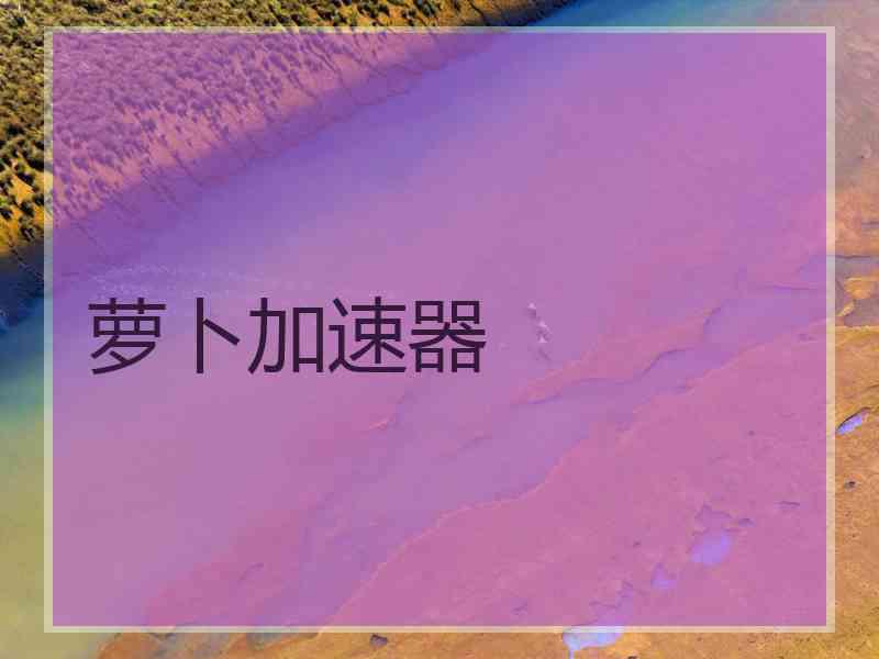 萝卜加速器