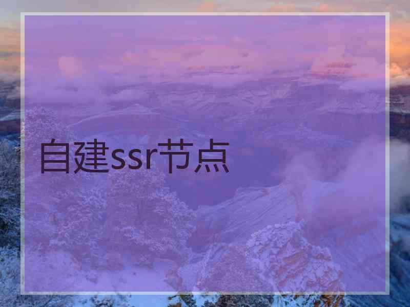 自建ssr节点
