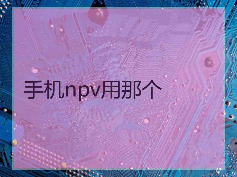 手机npv用那个