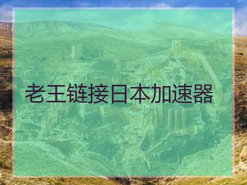 老王链接日本加速器