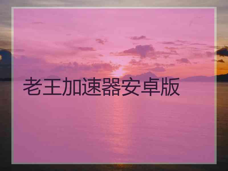 老王加速器安卓版