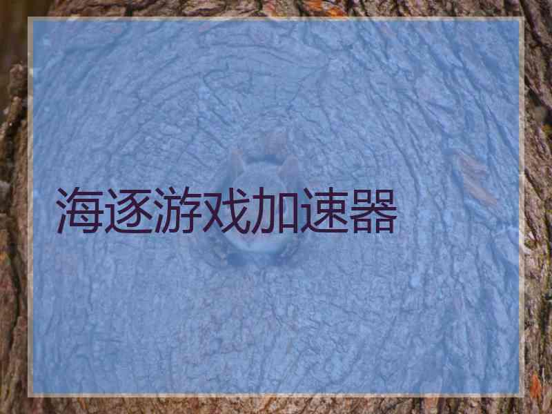 海逐游戏加速器