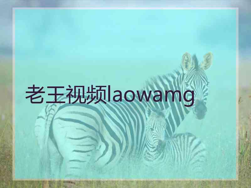 老王视频laowamg