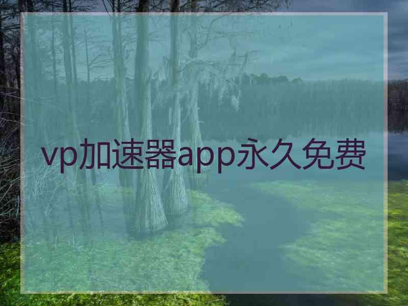 vp加速器app永久免费