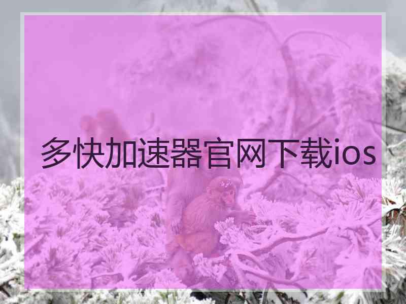 多快加速器官网下载ios