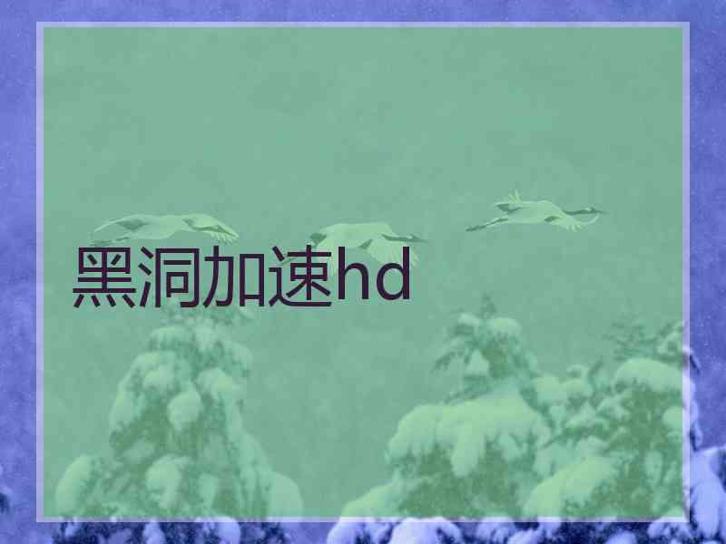 黑洞加速hd