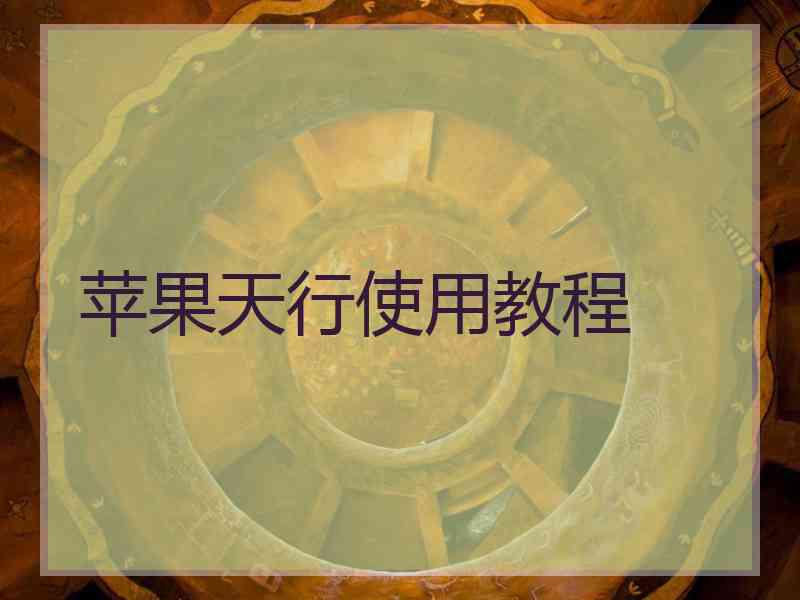 苹果天行使用教程