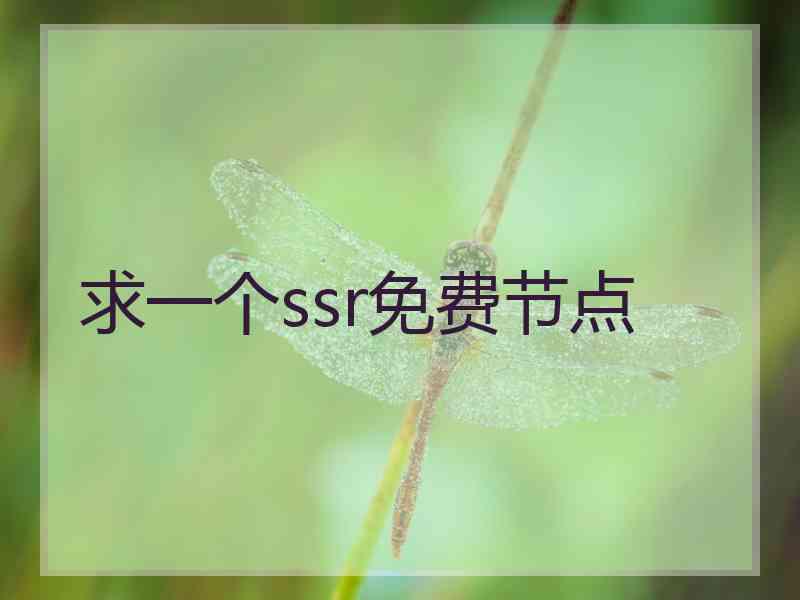 求一个ssr免费节点