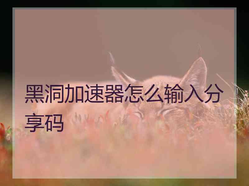 黑洞加速器怎么输入分享码