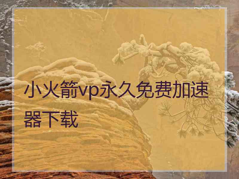 小火箭vp永久免费加速器下载
