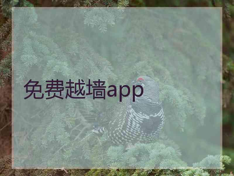 免费越墙app