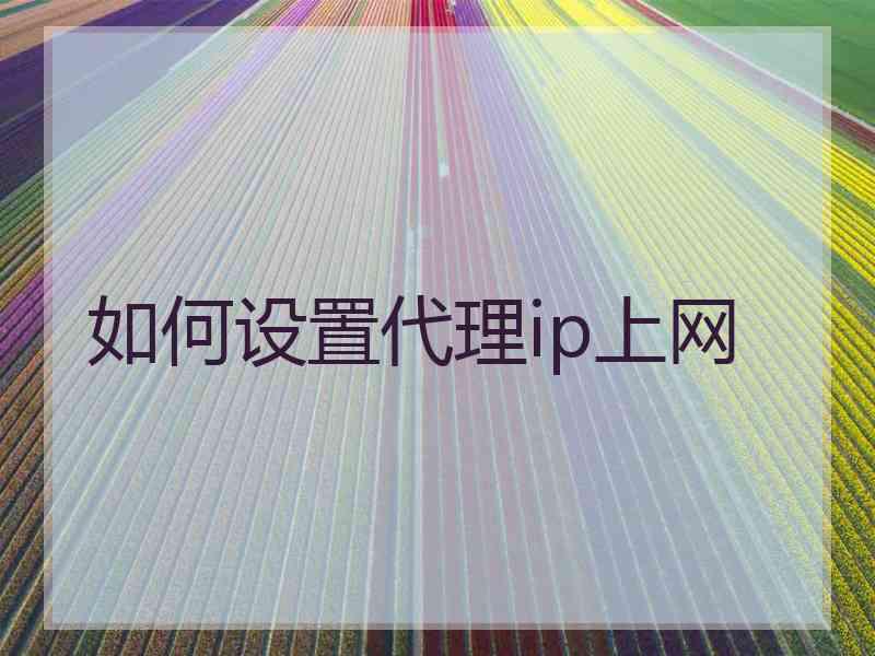 如何设置代理ip上网