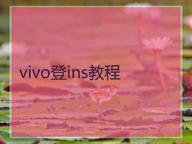 vivo登ins教程