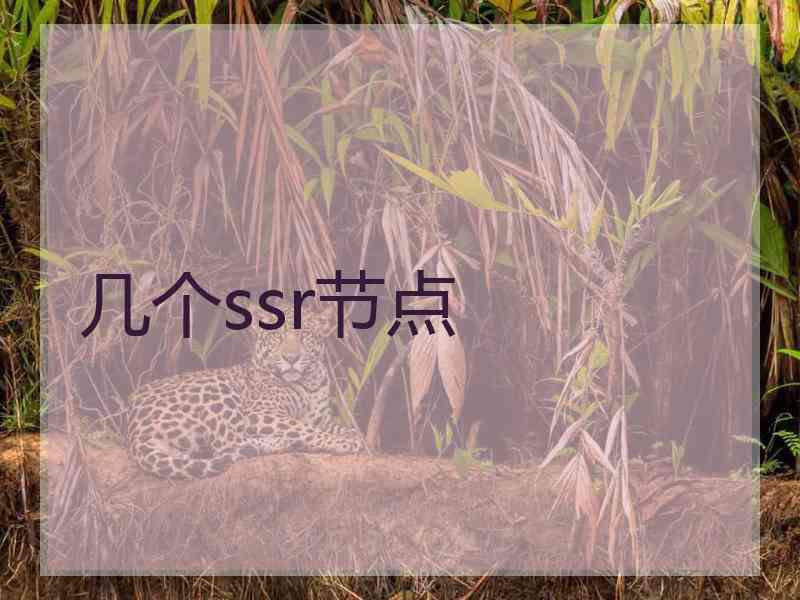 几个ssr节点