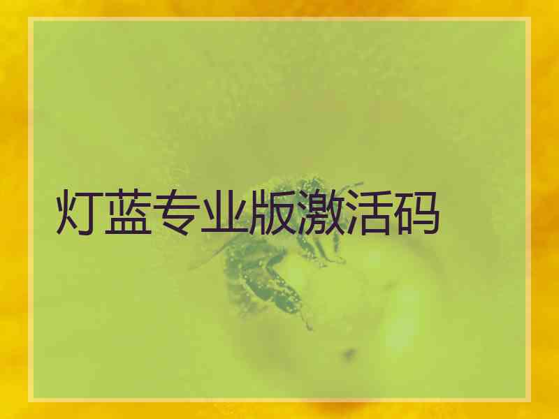 灯蓝专业版激活码