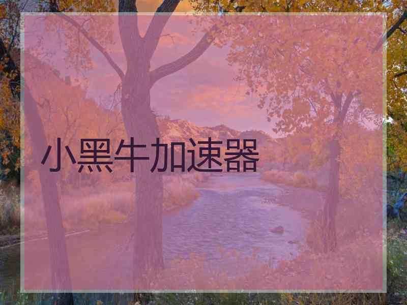 小黑牛加速器
