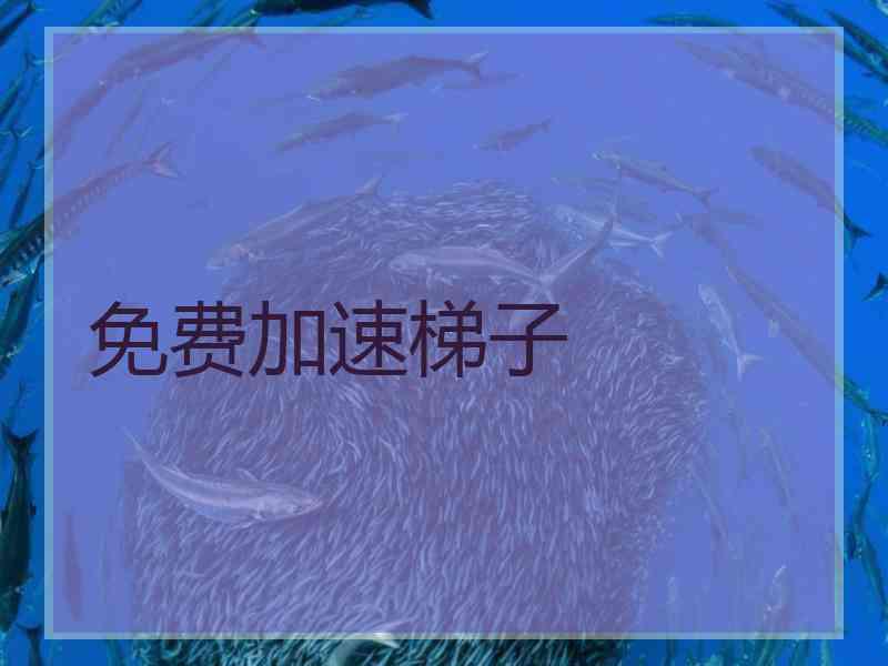 免费加速梯子