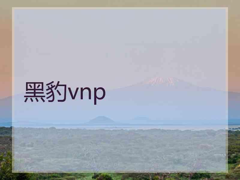 黑豹vnp