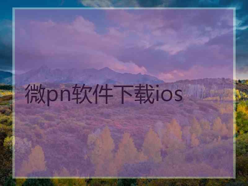 微pn软件下载ios