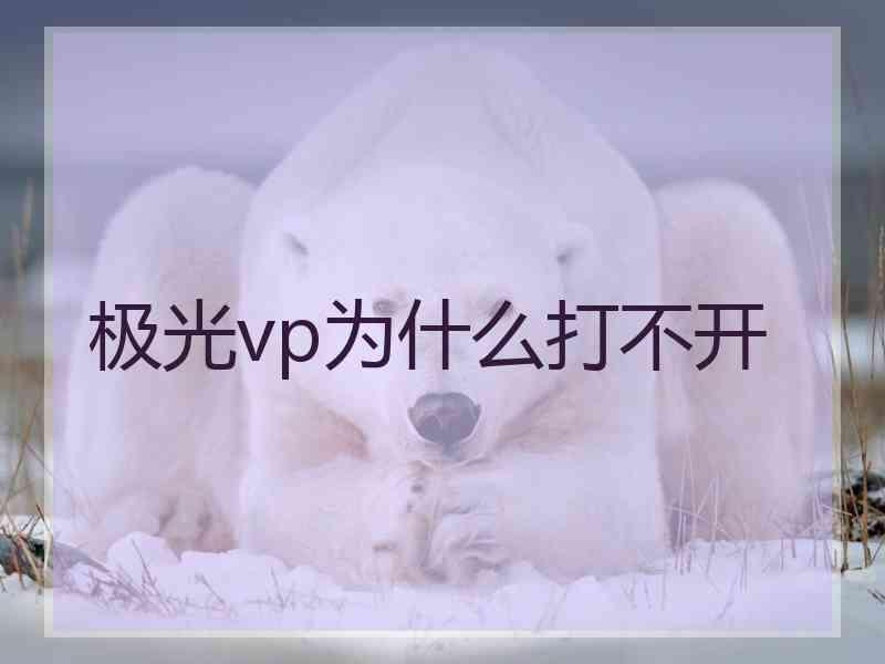 极光vp为什么打不开
