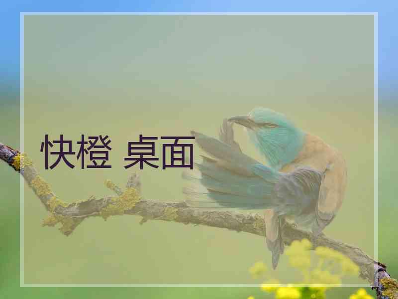 快橙 桌面