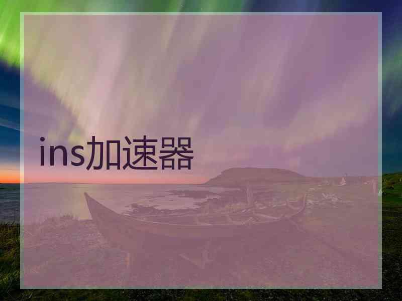 ins加速器