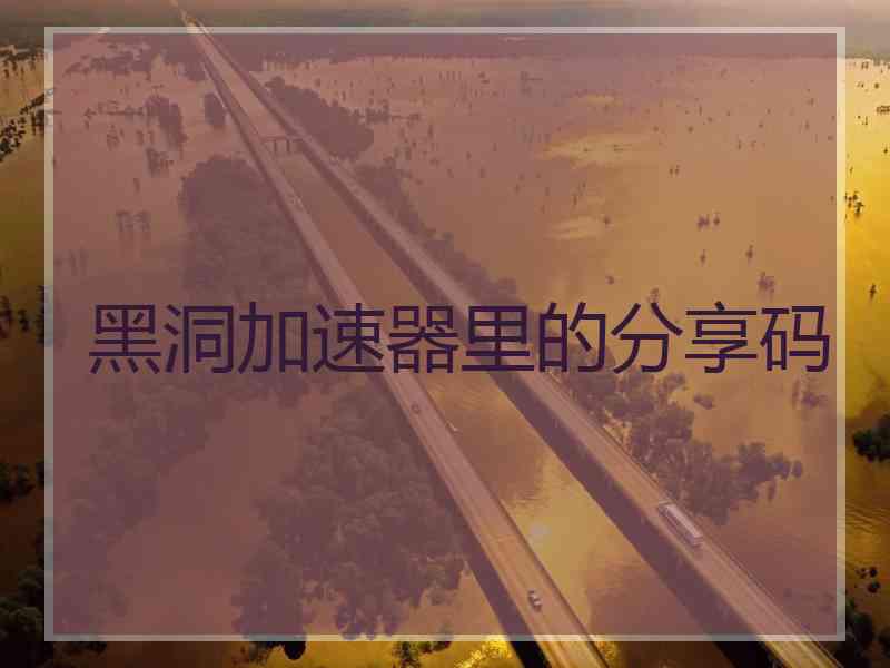 黑洞加速器里的分享码