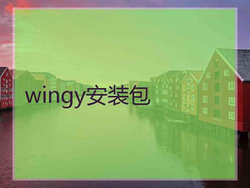wingy安装包