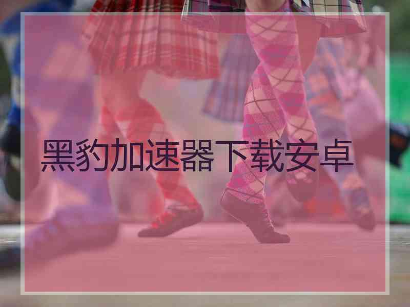 黑豹加速器下载安卓