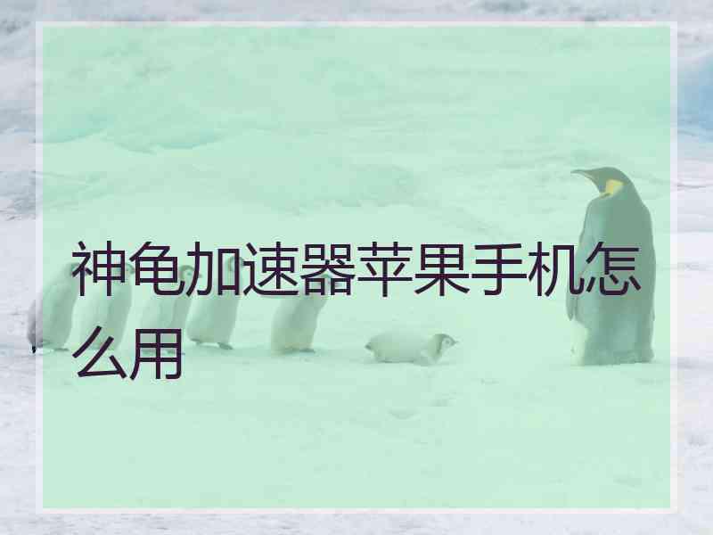 神龟加速器苹果手机怎么用