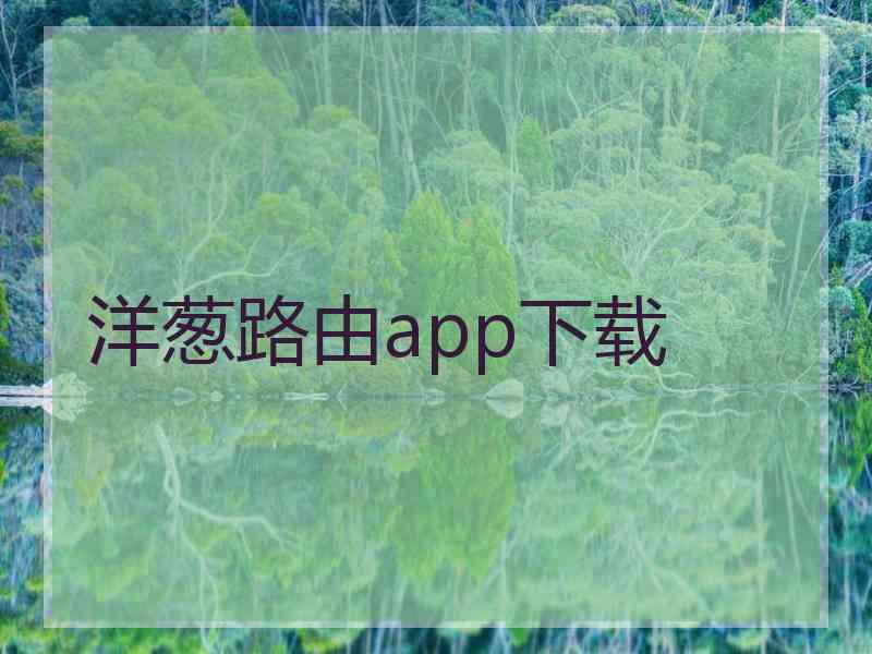 洋葱路由app下载