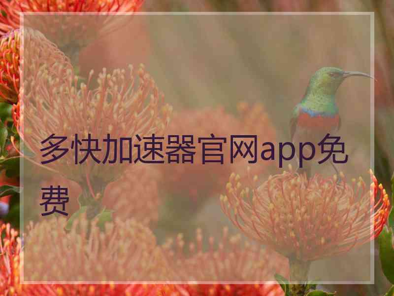 多快加速器官网app免费
