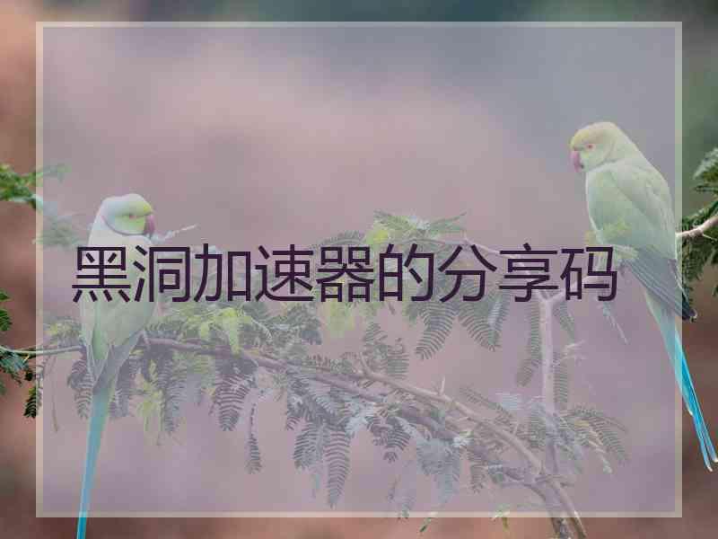 黑洞加速器的分享码