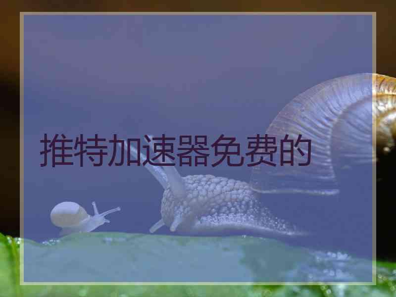 推特加速器免费的