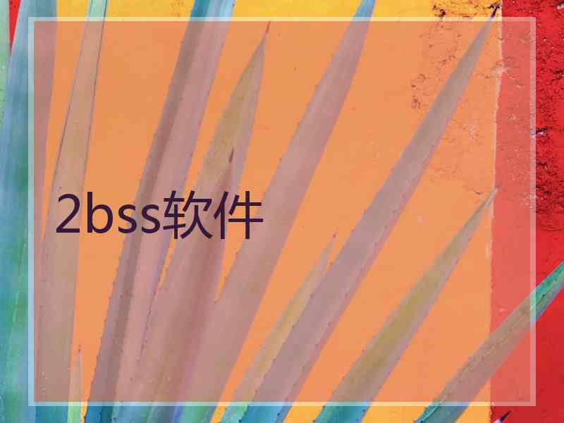 2bss软件