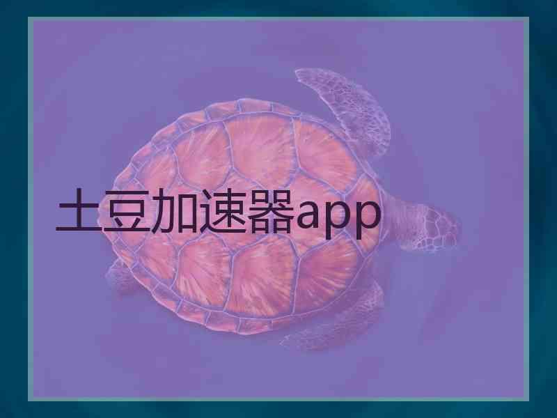 土豆加速器app