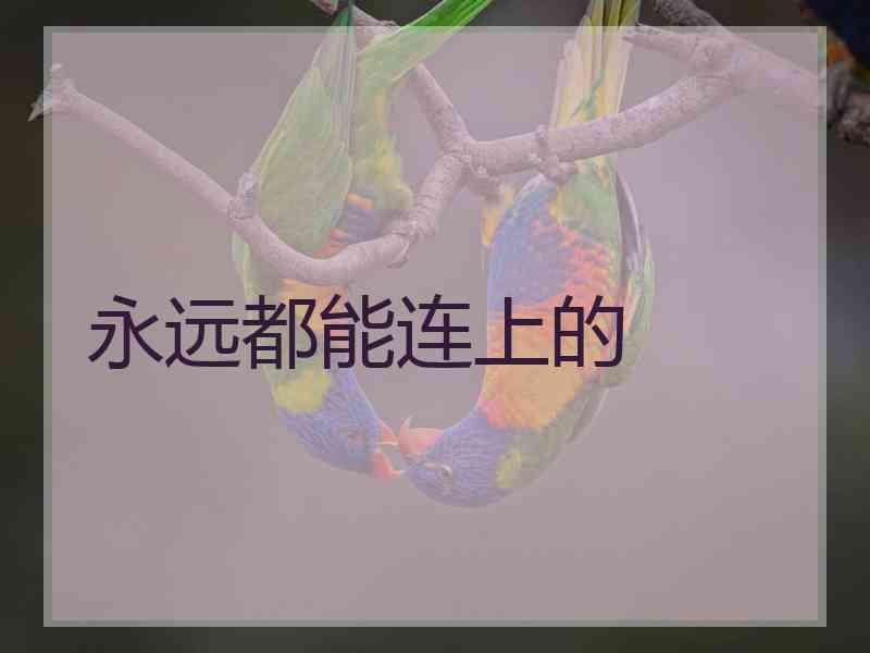 永远都能连上的
