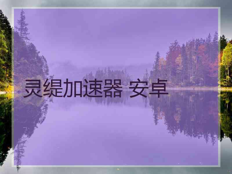 灵缇加速器 安卓