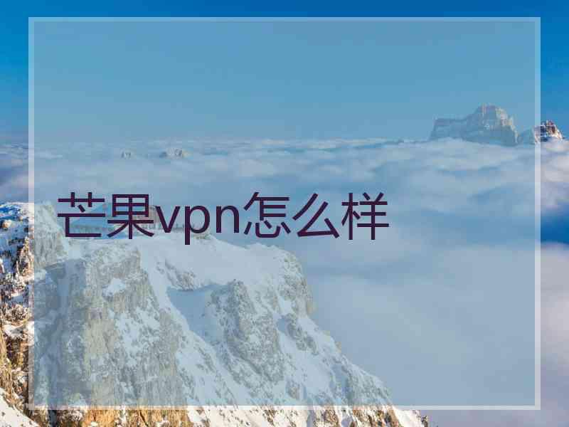 芒果vpn怎么样